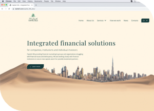 financial solutions companies